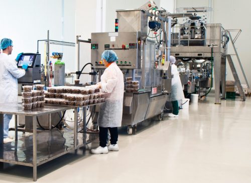 tasty olives production. packaging